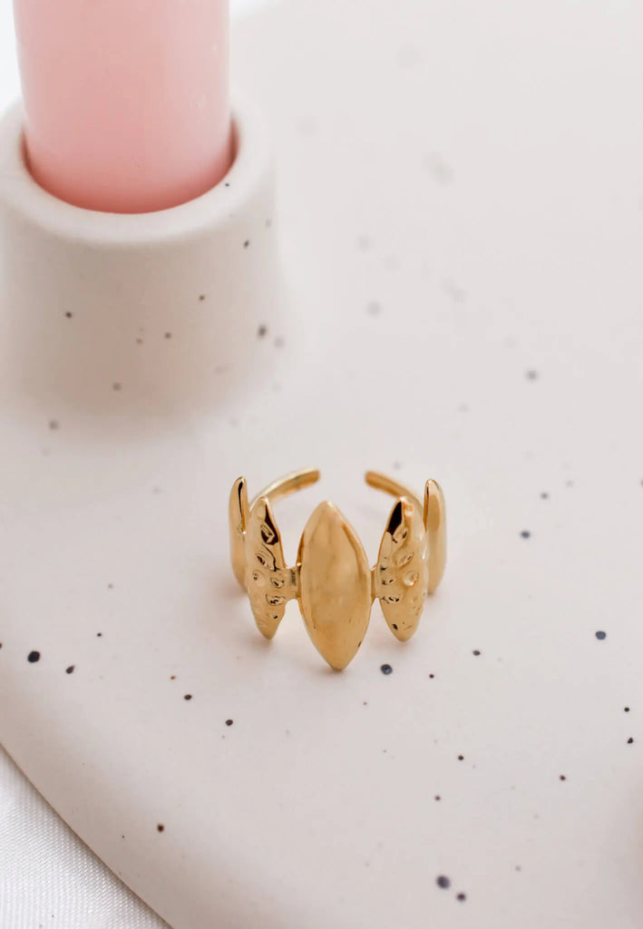 Γυναικείο Δαχτυλίδι Cerca Gold Ring