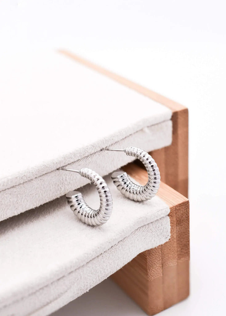 Γυναικεία Σκουλαρίκια Posh Silver Earrings
